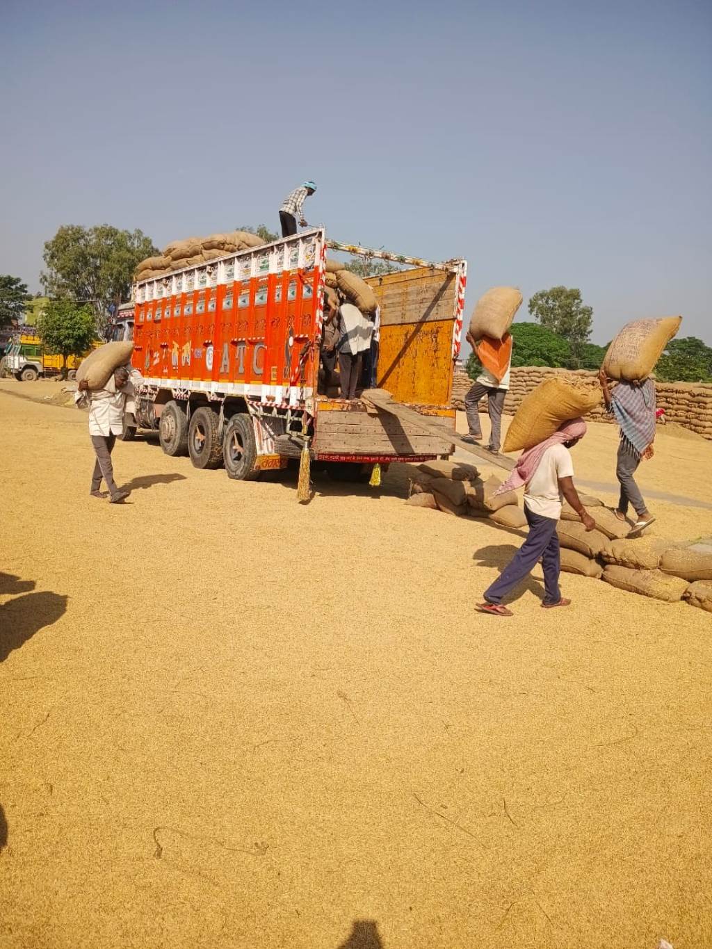 Paddy Arrival Reaches 35 in SAS Nagar 82 Lifting Achieved 112 Payment Made Within 48 Hours